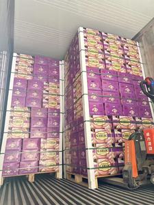 Ajo Fresco Chino, Verduras Frescas de China, Exportador de Ajo Fresco, Precio al por Mayor, Ajo Fresco, Ail Frais, Alho - Product Image 2