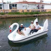 Bateau à pédales électrique en fibre de verre d'occasion, 2 et 4 places, modèle Duck Swan, pour loisirs et usage domestique