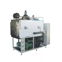 Vacuüm Groenten En Fruit Drogen Machines GZVF-12 Toption
