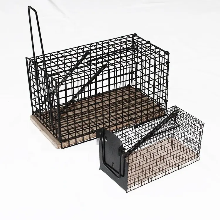 Attraper en direct chat sauvage piège Cage pour animaux pas cher piège pièges pour animaux et fournitures piège à souris