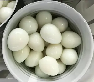 Chinese Canned Boiled Quail Eggs Price From Quail Farm