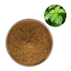 Yüksek kaliteli doğal Boehmeria Nivea özü rami yaprağı ekstresi tozu - Product Image 1
