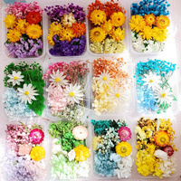 Boîte de fleurs séchées mélangées DIY, matériaux pour fleurs éternelles, décoration de gâteaux, fabrication de bougies, résine, savon, nail art, bijoux