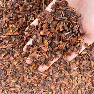 Anis étoilé concassé en vrac : Épices et herbes économiques pour la production de bases de soupes et de marinades, vente en gros pour la restauration - Product Image 3