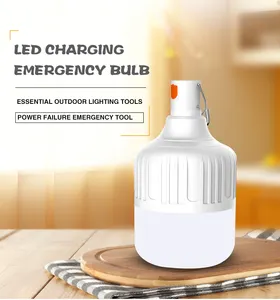 high brightness China supplier directly sale T bulb rechargeable solar led lamp light