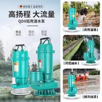 Petite pompe submersible domestique 220V, pompe à eau de puits, pompe à haute levée, grand débit, étang à poissons, irrigation agricole, pompe QDX