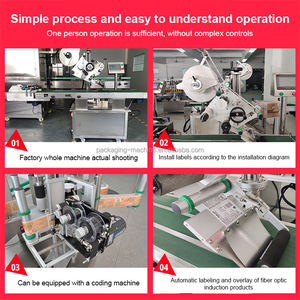 Etiquetadora Automática de Bolsas de Cartón y Plástico con Motor Central para Bolsas de PE, Modelo DW115 - Product Image 4