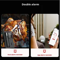 Termometer Makanan & Daging Nirkabel Tahan Air IP67 dengan 2 Probe & Kontrol Aplikasi Termometer Digital Pintar untuk Memasak