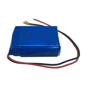 ZON GEMAK kleine medische 12 volt lithium batterij met oplader