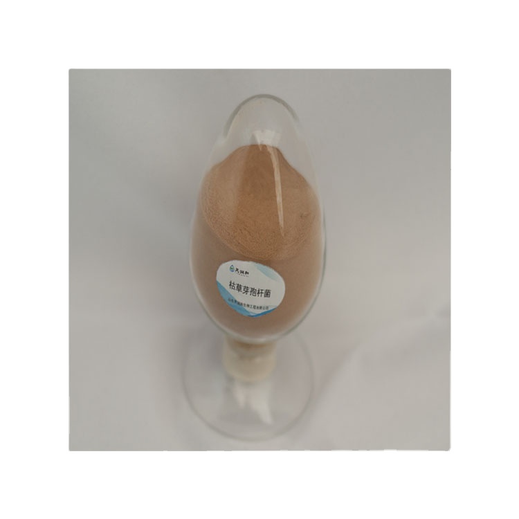 Горячая Распродажа, катушка талисмана, катушка талисмана, продажа катушки талисмана