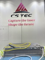 Laser fibre CW monomode CS Tec 3 kW refroidi par air pour la découpe à distance, découpe d'arbres