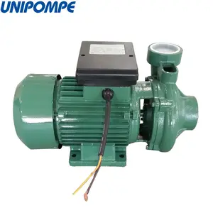 1.5 Kw 2Hp triphasé ou monophasé pompe à eau propre périphérique