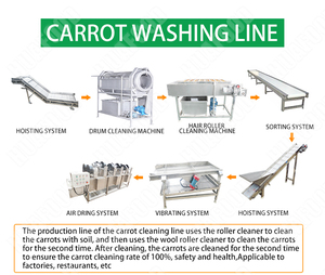 Tổng số cà rốt nhà máy công nghiệp của bé cà rốt Máy chế biến dây chuyền sản xuất - Product Image 4