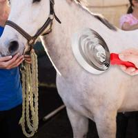Peigne à chevaux à 6 anneaux, dentelé, anti-démangeaisons, grattoir, brosse de nettoyage pour le dépoussiérage des animaux et le démêlage du bétail