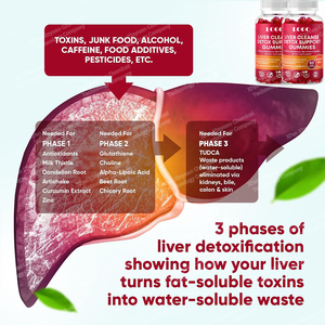 Gomitas para la Resaca, Limpieza Hepática, Desintoxicación, Fibra Dietética, Sin Gluten, Aporta Energía, Suplemento de Cardo Mariano, Silimarina, Baya del Saúco - Product Image 3