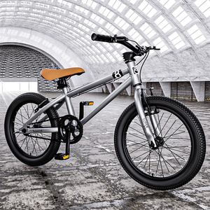 Jouet culte pliable avec gros essieu avant pas cher peneus freestyle street <span class=keywords><strong>se</strong></span> bicyclette 16 pouces jante bmx 20 pouces cycle pour homme adulte bmx vélo - Product Image 6