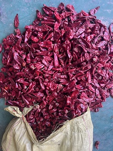 Bắc Kinh Ớt đỏ khô Ớt Đỏ Yidu Ớt Khô - Product Image 3