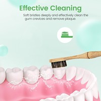 Brosses à dents durables et écologiques - Conception naturelle - Poils en crin de cheval - Options personnalisables pour adultes - Usage domestique