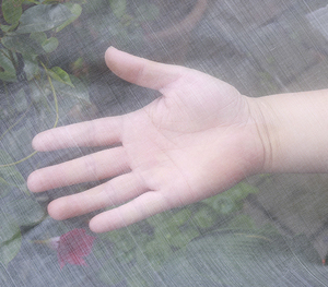 공장 직매 곤충 및 조류 증거 플라스틱 그물 우박 모기 스크린 야채 온실 돼지 농장 사육 가방 용 메쉬 - Product Image 5