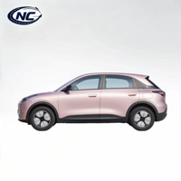 Geely Xingyuan 2026 Édition Longue Portée 410 km Agent d'Approvisionnement Chine Véhicule Électrique Pur avec Coffre Avant de 70L Prêt à être Expédié vers la Jordanie