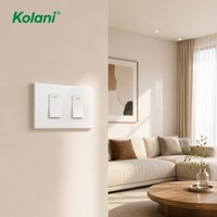 Interrupteur lumineux modulaire OEM blanc brillant 2 modules, taille 120, 16A 250V, panneau de module de prise combinable DIY pour projets d'appartements et d'hôtels