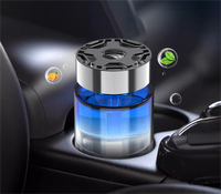 Diffuseur de parfum pour voiture en verre personnalisé, évaporation naturelle, design moderne et populaire - Portable, prix d'usine, parfum longue durée, unique