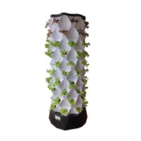 Tour hydroponique d'intérieur Grower Choice sans BPA en plastique avec réservoir de nutriments 3L pour légumes-feuilles frais et rapides