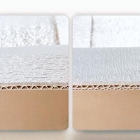 Caja Térmica Aislada Lista para Enviar, Caja de Papel con Revestimiento de Papel de Aluminio para Entrega de Fruta Fresca
