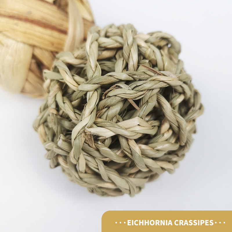 Eichhornia crassipes balle