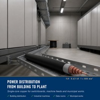 Câble d'alimentation basse tension à âme en cuivre pour la construction de grands parcs d'attractions, norme GB, directement de l'usine 1*800