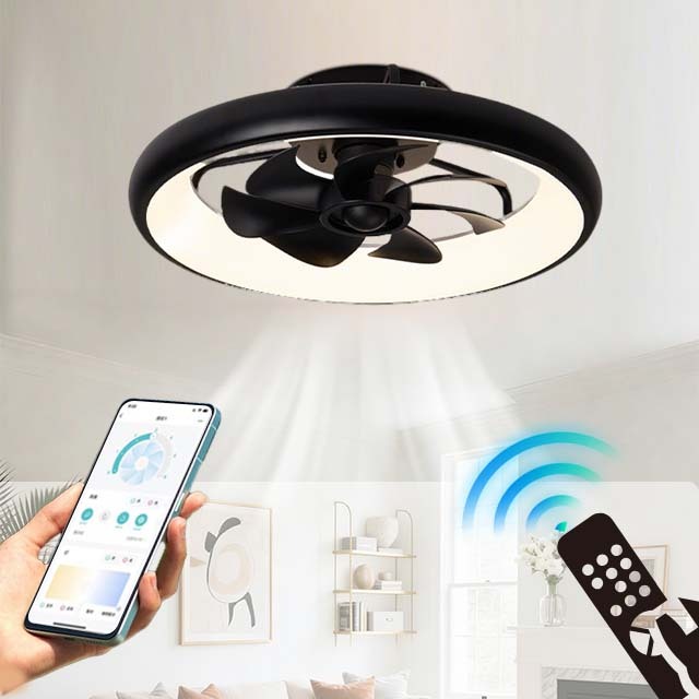 Remote Control Home Ceiling Fan ABS