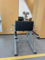 ASM-L1056 Équipement de musculation commercial, machine à presser les biceps, équipement de musculation pour salle de sport, machine à soulever les biceps