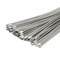 Vente directe d'usine en Chine attaches zippées SS 250mm attache de câble autobloquante Support en acier inoxydable OEM disponible échantillon gratuit