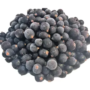 Saco de caixa IQF orgânico para frutas congeladas, saco de Black Currant