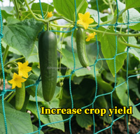 0wn Brand Grasgroen Lage Prijs Verdikte Duurzame Eenvoudig te Installeren Scheurbestendige Snijbestendige Rankondersteunende Planten Net