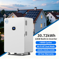 Système de Stockage d'Énergie Domestique (ESS) Tout-en-un avec Batterie LiFePO4 28kWh 30kWh 32kWh et Onduleur Solaire Hybride Hors Réseau 10kW 12kW