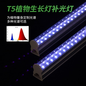 <span class=keywords><strong>Lampe</strong></span> <span class=keywords><strong>de</strong></span> <span class=keywords><strong>culture</strong></span> LED T5 à spectre complet, indice <span class=keywords><strong>de</strong></span> protection IP65, pour la <span class=keywords><strong>culture</strong></span> tissulaire et la germination des <span class=keywords><strong>semis</strong></span>, avec interrupteur, durée <span class=keywords><strong>de</strong></span> vie <span class=keywords><strong>de</strong></span> 50 000 heures - Product Image 4