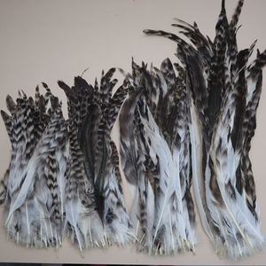 Piume di <span class=keywords><strong>gallo</strong></span> chinchilla grigie per decorazioni e <span class=keywords><strong>costumi</strong></span> da ballo - Product Image 4