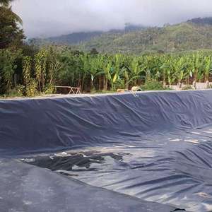 แผ่นรองบ่อ HDPE หนา 3.00 มม. แบบ Geomembrane มาตรฐาน ASTM GRI GM13 สำหรับบ่อเก็บน้ำเพื่อการเกษตร ถังเก็บน้ำ และการเพาะเลี้ยงสัตว์น้ำ - Product Image 5