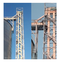 Elevatore a Nastro Verticale TDTG 50/28 per Silo di Mangime, Semi e Cereali