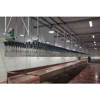 Ligne d'abattage avicole automatique à prix de gros - Direct usine avec support de conception personnalisée
