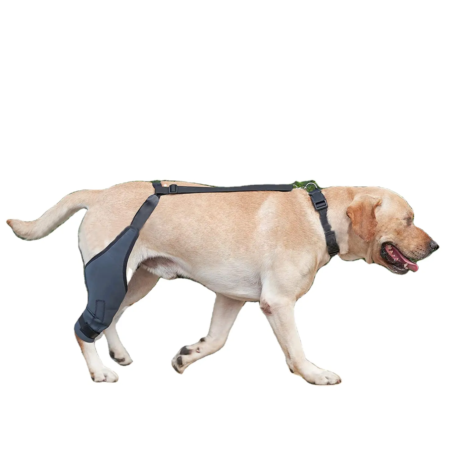 Pet köpek dizlik için ACL Metal yan stabilizatörler ekstra destek ağrıyı azaltır ayarlanabilir arka bacak parantez köpekler için