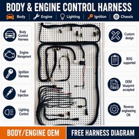 Kabel Harness Mobil Langsung dari Pabrik OEM ODM Kabel Unit Kontrol Mesin Bodi