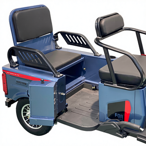 Hot Sale Electric Motorbike Trike E Bike Tricycle Adult 3 Wheel Open Body <strong>Passenger</strong> <strong>2</strong> <strong>Passengers</strong> - Product Image 4