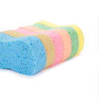 Éponge de lavage de voiture en mousse corail, grande, à compression sous vide, bloc en nid d'abeille, outil de polissage et de nettoyage de voiture magique