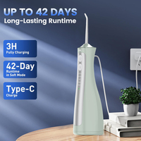 Hydropulseur Électrique 300ml 3 Modes IPX7 Sans Fil Rechargeable USB Irrigateur Dentaire Soin Bucco-dentaire Nettoyage des Dents à Domicile