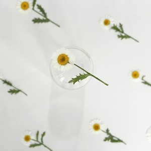 MNR2007 Flor de manzanilla seca con ramas para manualidades de resina DIY - Product Image 3