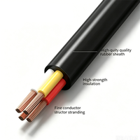 H05RN-F Industrielles Kupfer-Gummi-Flexkabel 300/500V VDE CE für Ölbeständiges Außen-Stromkabel für Elektrowerkzeuge