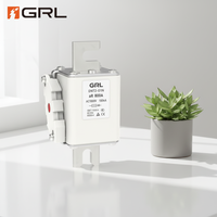 Fusible GRL DNT2-O1N AC 1000V aR, Fusibles de Bajo Voltaje 350-800A, Fusibles Cerámicos para Protección de Equipos Semiconductores