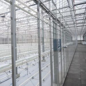 2025 coût d'usine <span class=keywords><strong>Serre</strong></span> commerciale Venlo 9.6m Span Glass Green house Garden Used for Sale - Product Image 2